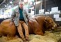 "Por R$ 100 mil, nem me coço", diz criador do touro mais pesado da Expointer; veja vídeo