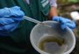 Brasil passa de 4 milhões de casos de dengue; mortes chegam a 1.937