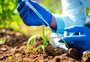 Lei de bioinsumos é sancionada: o Brasil mais protagonista do que nunca