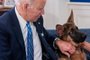 (FILES) US President Joe Biden pets his new dog Commander as he speak virtually with military service members to thank them for their service and wish them a Merry Christmas, from the South Court Auditorium of the White House in Washington, DC, on December 25, 2021. Problem pets are hounding President Biden once again, after Commander was involved in several biting incidents, including at the White House, the second time that a Biden family pooch has been accused of nipping staff. Commander, a German Shepherd who first arrived at the bustling White House in 2021, will have to undergo a fresh round of training in the wake of at least 10 incidents, including one that sent a victim to the hospital, US media reported. (Photo by SAUL LOEB / AFP)<!-- NICAID(15492316) -->