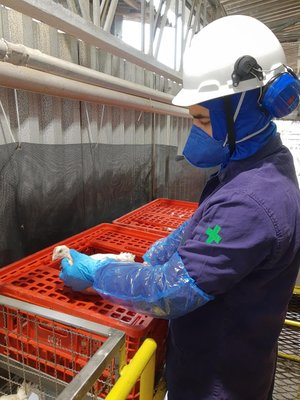 Daniel Paim / Arquivo Pessoal