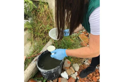 A Vigilância Ambiental de Caxias do Sul identificou mais seis focos do mosquito Aedes aegypti, em Caxias do Sul, nos últimos dias. Eles foram localizados em um terreno baldio do bairro Colina Sorriso, em um ralo de ferro-velho e em tonel e lata de residências de São Luiz da 6ª Légua, em um pneu do bairro Tijuca e dentro de um contêiner e dentro de um pote, no Charqueadas.<!-- NICAID(14709590) -->