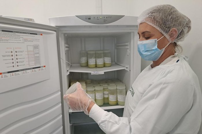 Alexandre Brusa / Divulgação Alexandre Brusa / Divulgação