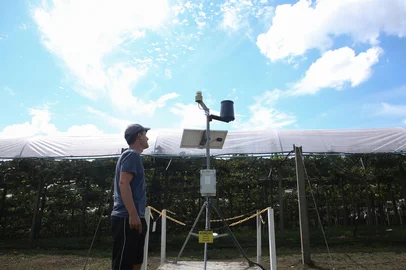 CAXIAS DO SUL, RS, BRASIL, 06/03/2026. Rede de estações meteorológicas auxilia produtores rurais e Defesa Civil de Caxias do Sul. Na foto, Maicol Venturin, proprietário da Venturin Uvas Finas, onde está instalada uma das estações. (Ariéli Ziegler/Agência RBS)Indexador: Arieli Ziegler<!-- NICAID(16239736) -->