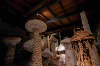 Exposição Natureza Tecida, na Casa Anselmi, em Farroupilha, de Sandra Anselmi.<!-- NICAID(16040531) -->