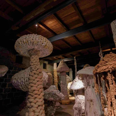Exposição Natureza Tecida, na Casa Anselmi, em Farroupilha, de Sandra Anselmi.<!-- NICAID(16040531) -->