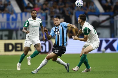 PORTO ALEGRE, RS, BRASIL, 25-11-2025: Grêmio vs Palmeiras, pelo Campeonato Brasileiro Série A 2025, na Arena. Foto: Jeff Botega/Agência RBSIndexador: jeff botega<!-- NICAID(16174456) -->