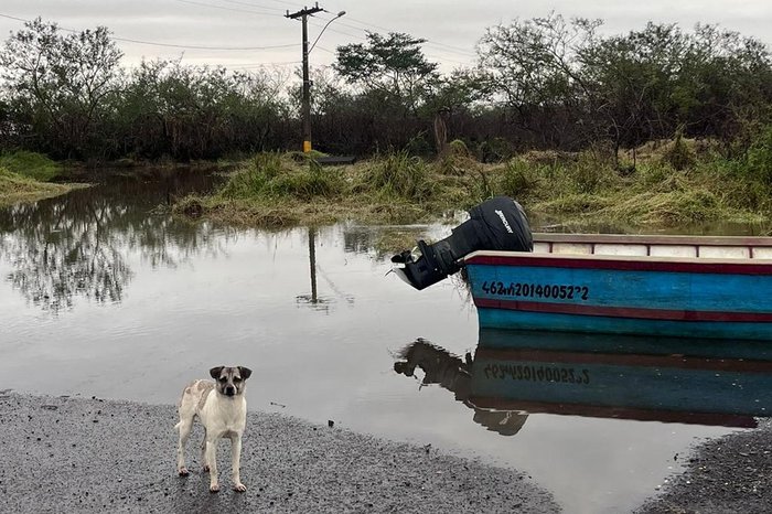 Kathlyn Moreira / Agência RBS