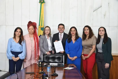 Deputadas gaúchas formam Comissão Externa para acompanhar feminicídios no RS. Na foto: Any Ortiz, Daiana Santos, Maria do Rosário, Hugo Motta, Fernanda Melchionna, Denise Pessôa e Franciane Bayer.<!-- NICAID(16047465) -->