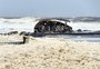 No Uruguai, Yakecan provoca transtornos e causa pelo menos uma morte