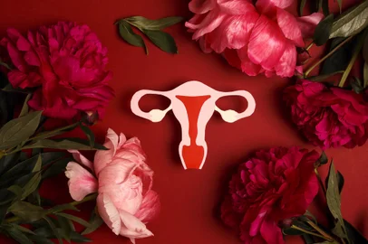 Symbolic model of the uterus with peonies flowers on a red background. Women's health, reproductive system concept.Fonte: 573873489<!-- NICAID(15622163) -->