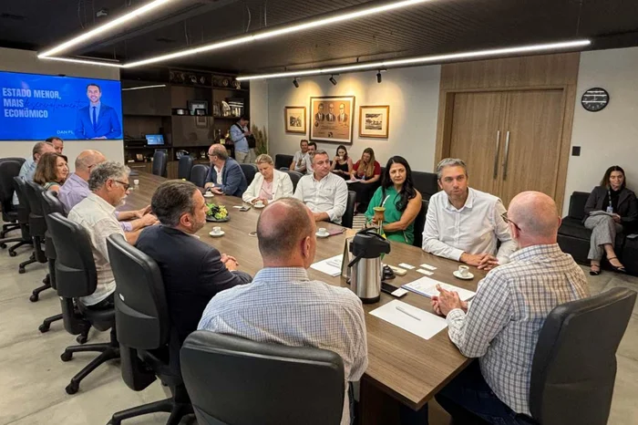 Denise Suzin Borges / Divulgação