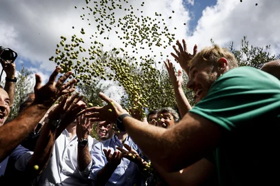 TRIUNFO, RS, BRASIL, 17-04-2026: Abertura oficial da colheita de oliva no Rio Grande do Sul. A cerimônica aconteceu na sede da Azeite Milonga, em Triunfo. O evento contou com a presença do Governador Eduardo Leite, o vice Gabriel Souza, e o presidente do Ibraoliva, Flávio Obino Filho. Fotos: Duda Fortes/Agencia RBS<!-- NICAID(16268209) -->
