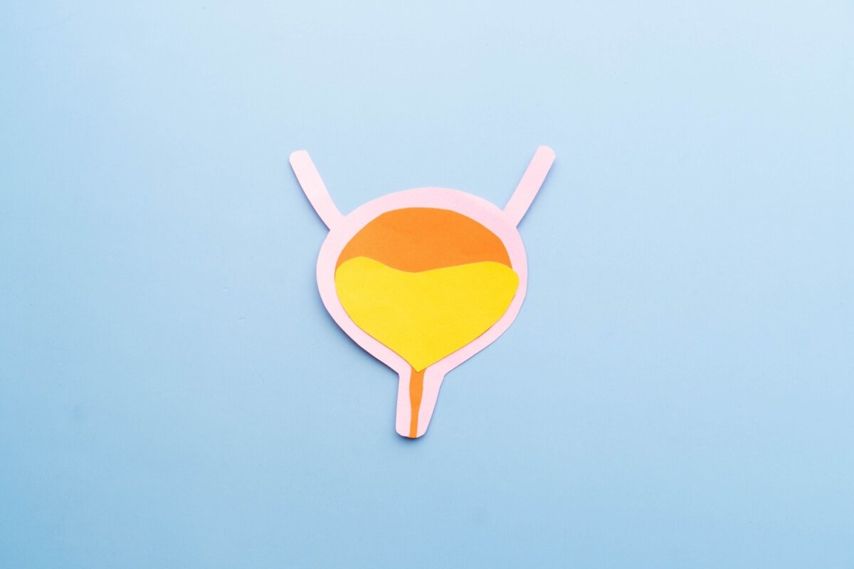 Cistite na menopausa: entenda condi&ccedil;&atilde;o que fez Solange Couto passar mal no BBB 26