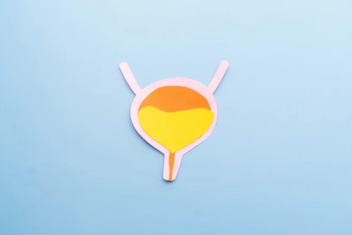 Orawan Pattarawimonchai / Shutterstock | Portal EdiCase