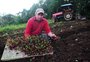 Programa federal de combate à fome perde 97% dos recursos em 10 anos, e agricultores gaúchos enfrentam dificuldades