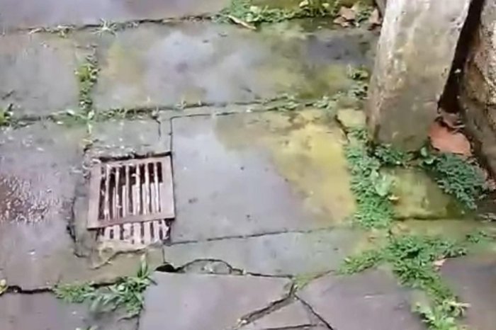 Arquivo pessoal / Arquivo pessoal