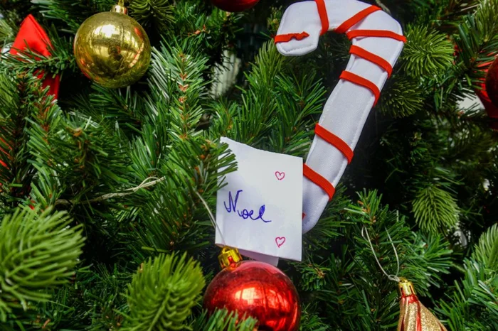 Rafaela Trevisan / Prefeitura de Caxias do Sul