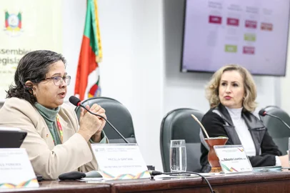 Secretária estadual da Fazenda, Pricilla Santana, apresentou dados sobre o impacto da enchente de maio nas contas públicas à Comissão de Finanças da Assembleia.<!-- NICAID(15800222) -->