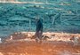 "A lida tem que seguir": como é a vida no campo no amanhecer mais frio do ano até agora em São José dos Ausentes