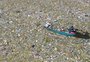 Lixo cobre lagos, rios e praias de países da América Central