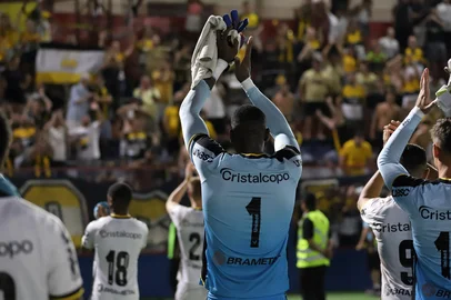 caíque , criciúma<!-- NICAID(15972361) -->