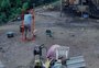 Mulher suspeita de matar cachorro com golpes de picareta é solta em Porto Alegre