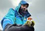 Pesquisadores gaúchos descobrem novas espécies de cogumelos na Antártica