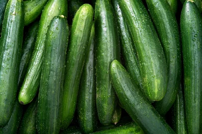 Cucumber backgroundPepino. Foto: Daxiao Productions / stock.adobe.comIndexador: jill chenFonte: 89246716<!-- NICAID(16042397) -->