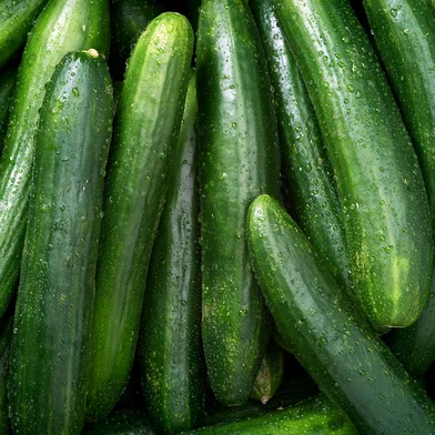 Cucumber backgroundPepino. Foto: Daxiao Productions / stock.adobe.comIndexador: jill chenFonte: 89246716<!-- NICAID(16042397) -->