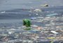 Brasil é líder em poluição com plástico no oceano entre países da América Latina, aponta relatório