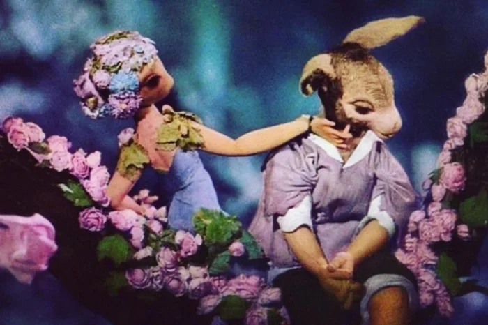 Divulgação / Divulgação