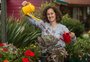Como cuidar das plantas no calor? Especialista dá dicas práticas