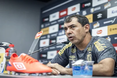 Fábio Carille, futebol