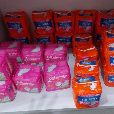 Escolas estaduais criam estratégias para manter entrega de absorventes para alunas de baixa renda<!-- NICAID(15192770) -->
