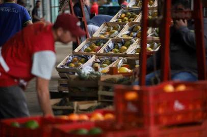 PORTO ALEGRE, RS, BRASIL - 17.06.2024: Ceasa reabre após 40 dias fechada devido à enchente. Fotos: Duda Fortes / Agencia RBS<!-- NICAID(15791063) -->