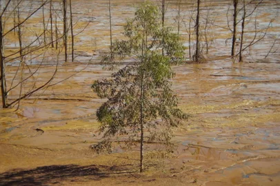 Com distribuição da Descoloniza Filmes, longa foi exibido em festivais como IDFA, Hot Docs e Cinéma du Réel Obra destaca as histórias de luta e reconstrução de comunidades que continuam sob risco constante de barragens em Minas GeraisAcesse fotos e o cartaz oficial aqui Em um momento em que aproximadamente 100 barragens em todo o Brasil seguem em risco de rompimento - segundo estudo do Projeto EduMiTE, da Universidade Federal de Minas Gerais -, o documentário “Rejeito”, dirigido por Pedro de Filippis e produzido pela Enquadramento Produções, chega aos cinemas de todo o país no dia 30 de outubro de 2025, às vésperas da efeméride de 10 anos do desastre de Mariana, com distribuição da Descoloniza Filmes.<!-- NICAID(16150545) -->