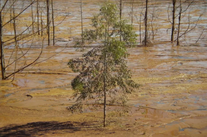 Descoloniza Filmes / Divulgação