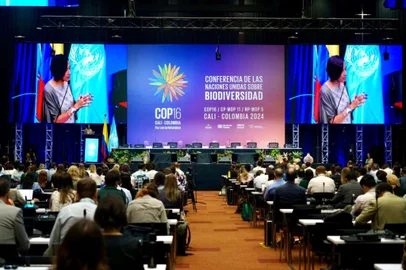 COP16 - BUSINESS AND BIODIVERSITY FORUM 27OCT<!-- NICAID(15900882) -->