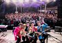São Chico Beatle Festival chega neste fim de semana com mais de 20 horas de música ao vivo