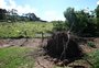 RS tem risco de tornados no sábado; veja área onde fenômeno pode acontecer