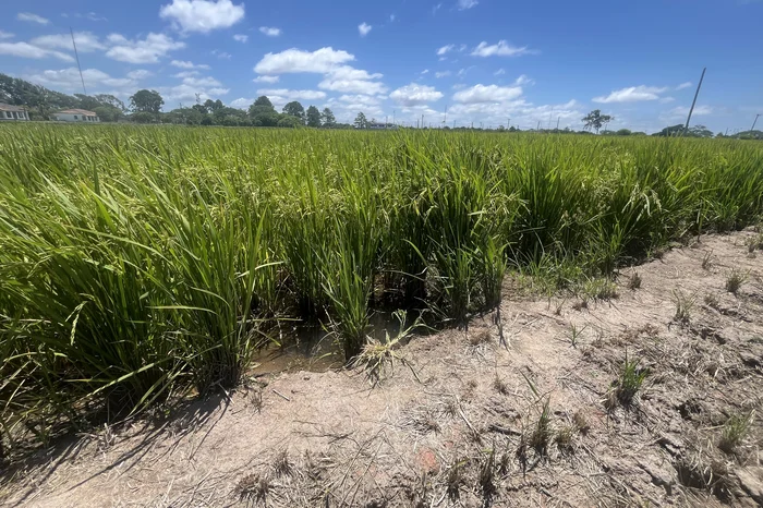 Gabriel Veríssimo / Grupo RBS
