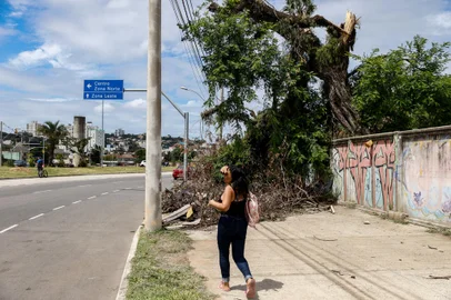 PORTO ALEGRE, RS, BRASIL - 2024.02.15 - Um mês após forte temporal que derrubou árvores e postes pela cidade, deixando milhares de pessoas sem luz ou água, o acúmulo de galhos e troncos ainda é visto pelas calçadas de vários bairros da capital. Na foto: Avenida Tronco, bairro Cruzeiro (Foto: André Ávila/ Agência RBS)<!-- NICAID(15680602) -->