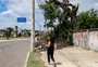 Um mês após temporal, árvores caídas bloqueiam calçadas e se tornam pontos de acúmulo de lixo em Porto Alegre