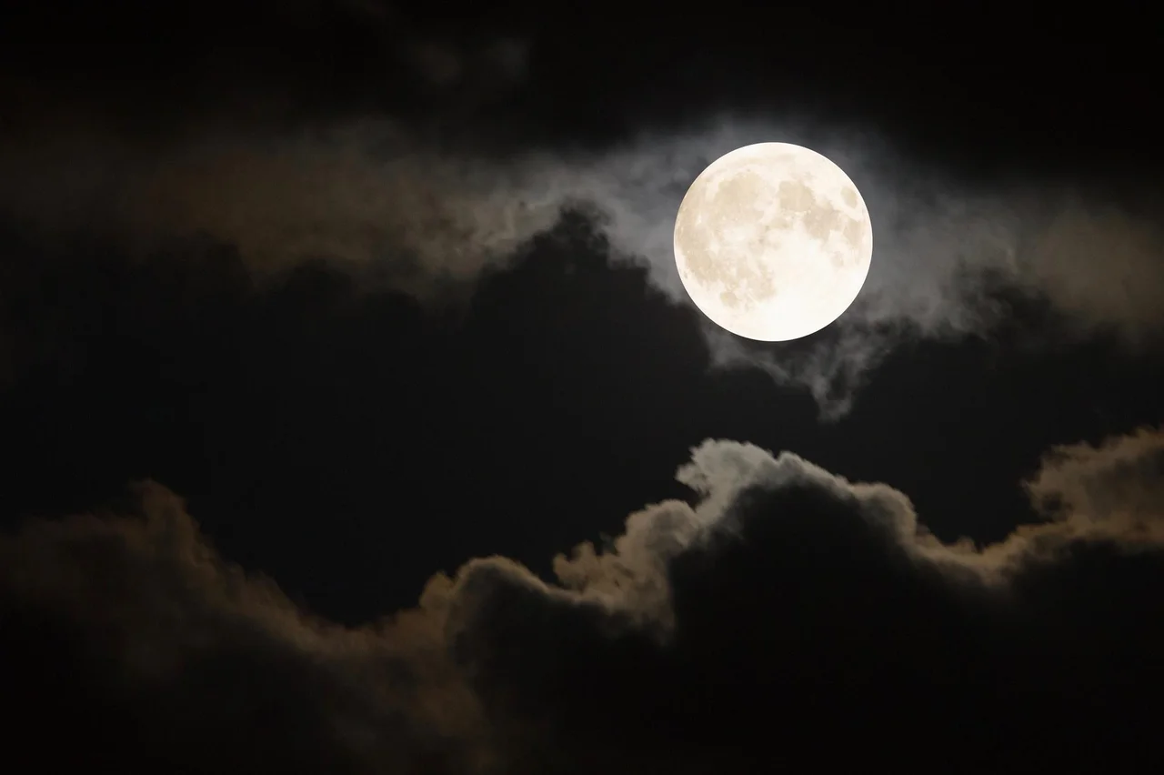 Stefanie/stock.adobe.com