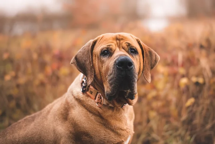 michaela.bilovska / Shutterstock | Portal EdiCase michaela.bilovska / Shutterstock | Portal EdiCase