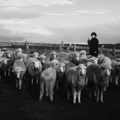 A artista visual e designer Ines Schertel, que mora em uma fazendo em São Francisco de Paula, produz pelas em slow design com lã de ovelha natural.<!-- NICAID(15465034) -->
