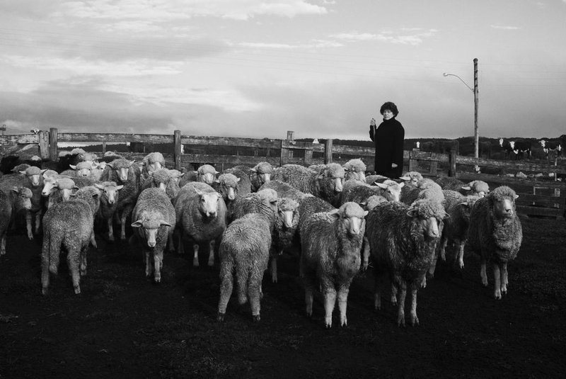 A artista visual e designer Ines Schertel, que mora em uma fazendo em São Francisco de Paula, produz pelas em slow design com lã de ovelha natural.<!-- NICAID(15465034) -->