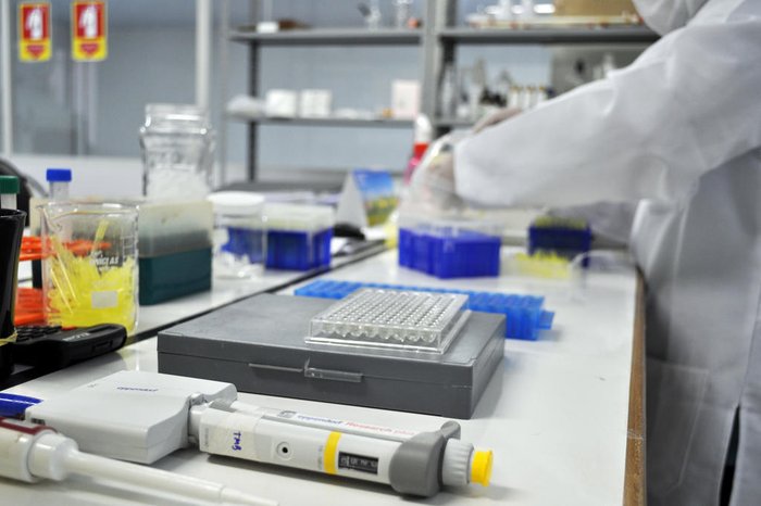 Divulgação / Imunobiotech