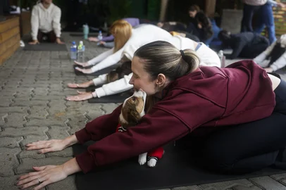 PORTO ALEGRE, RS, BRASIL, 24-08-2025: Puppy Yoga, aula de yoga com filhotes de cachorro circulando pelo espaço, na Vila Roubadinhas, no bairro Auxiliadora. Participantes praticam posturas, atentos à respiração, enquanto interagem com os cães. A prática combina os benefícios físicos do yoga com o bem-estar emocional proporcionado pelo contato com filhotes, reduzindo o estresse e estimulando a sensação de prazer. Iniciativa desenvolvida pelo estúdio criativo Hunted, em parceria com a ONG 101 Vira-latas. Foto: Mateus Bruxel/Agência RBSIndexador: MATEUS BRUXEL<!-- NICAID(16109365) -->